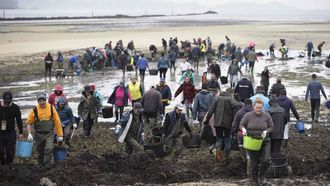 Mariscadoras de la r�a de Pontevedra vuleven a la playa para limpiar restos acumulados por los temporales
