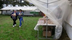 Romer�a de San Cosme da Monta�a en Abad�n