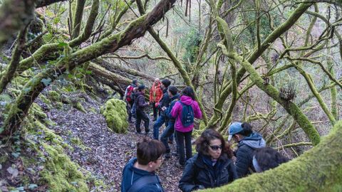 Participantes en un recorrido guiado por el bosque madro�os de Vilamar�n el pasado d�a 4