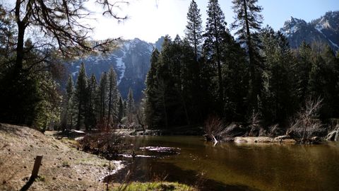 El parque nacional de Yosemite reabrirá próximamente al público
