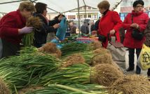 La campaa de la huerta ha comenzado y hay ms uso de los carns de fitosanitarios. 