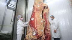 El animal pasar� varios meses en un proceso de maduraci�n cuando sea trasladado a Madrid 