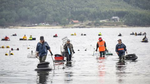Mariscadoras faenando en Louriz�n a mediados de octubre del 2024