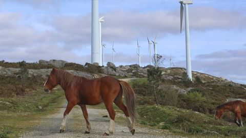 Los parques e�licos -en la foto, el de Forgoselo- tuvieron indisponibilidad algunos d�as en agosto por la falta de viento