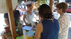 La diputada de Podemos Paula Valero, en el mercadopor la soberan�a alimentaria de Cangas de On�s.La diputada de Podemos Paula Valero, en el mercadopor la soberan�a alimentaria de Cangas de On�s