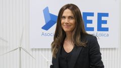 Roco Sicre, presidenta de la Asociacin Empresarial Elica (AEE)