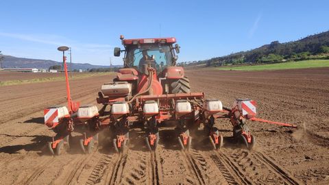 Las ayudas�de los planes de mejora permiten modernizar las explotaciones