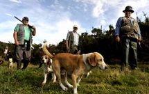 Cazadores y perros disfrutaron el domingo de la primera jornada de caza menor en Silleda. 