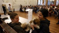 Demostracin de terapia asistida con perros llevada a cabo en la Diputacin