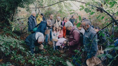 Un da buscando setas en Trasmiras