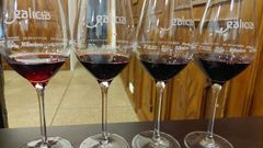 Solos los vinos tintos pod�an acogerse a la destilaci�n de crisis