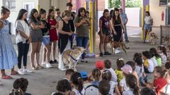 Los perros y gatos de la protectora Proanimales visitaron a los peque�os de la ludoteca. 