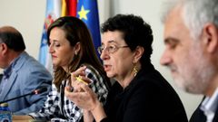 �lvarez, onte no Parlamento galego, durante a s�a comparecencia na comisi�n de Cultura