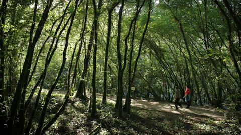 �rea Natura de Chelo, en Coir�s
