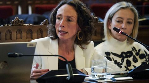 La consejera de Derechos Sociales y Bienestar, Melania �lvarez