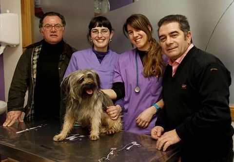 Julin Prieto, Eva Castieiras, Luca Garca y Jos Manuel Pato, con el pequeo Ron en la clnica veterinaria Arnela.