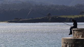 Pesca recreativa en el puerto de Foz, en una zona autorizada