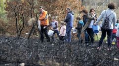 Semillas de hierba para regenerar el monte de Chavaga