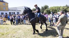 La Feira das Nenas de A Silva, en una imagen de archivo 