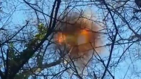 Explosivos contra la velutina