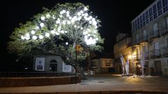Allariz inaugura el alumbrado navide�o