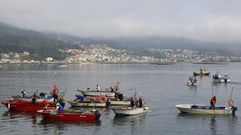 La almeja babosa que se sembrará esta semana servirá para atender las necesidades de la barcos de bajura como los de esta foto de archivo