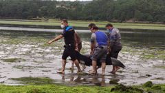 El transporte de los animales se hizo a pie en un primer momento para ponerlos a salvo