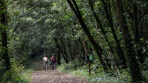 Ruta de la senda del Tren Minero en A Pontenova