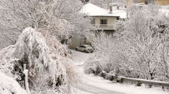 Otra nevada intensa en las monta�as de O Courel y O Incio