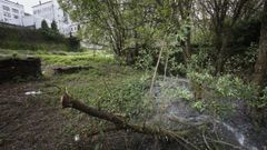 Vertidos de aguas fecales en el barrio del Carmen a pie del Camino Primitivo