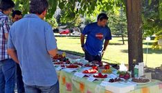 El Mercado de Alimentos de Os Tilos organiz� una original cata de tomates.