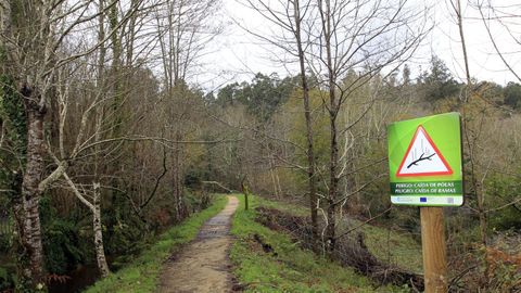 Entrada del Souto da Retorta o eucaliptal de Chavn, en Viveiro