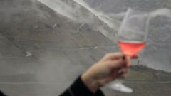 En la foto, una persona sostiene una copa de vino&nbsp;ante un paisaje en la zona de&nbsp;Monforte