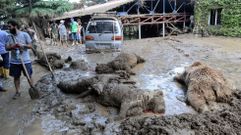 Los efectos de las inundaciones en Georgia