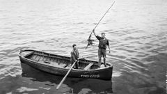 Fotograf�a de Nicol�s Muller
