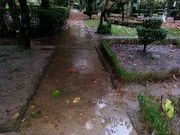 Los paseos interiores del jard�n se llenan de agua pese al drenaje.