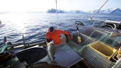 Pesca de bacalao en las costas de Noruega.