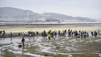 Mariscadoras limpiando una de las zonas productivas de la r�a de Pontevedra que ser�n objeto de estudio la pr�xima semana