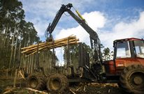 Trabajos forestales en un monte de A Barrosa, en Cedeira, en una imagen de archivo. 