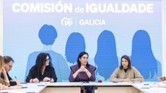 La comisi�n de Igualdade del PPdeG se reuni� para analizar el papel de Galicia en el Parlamento Europeo en la lucha contra la violencia machista