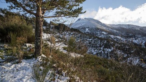 Adi�s aire africano, hola aire polar