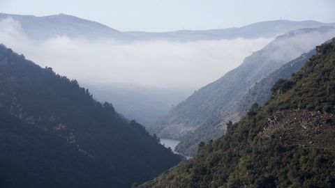 VISTA DE LA  NIEBLA QUE CUBRE EL CAё�N DEL SIL DESDE LOS VI�EDOS DE DOADE