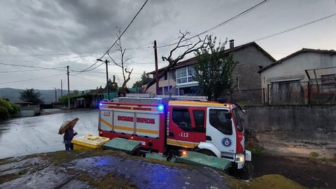 En los concellos de Coles, A Peroxa e San Amaro actuaron los bomberos de O Carballio para retirar rboles cados en las carreteras.