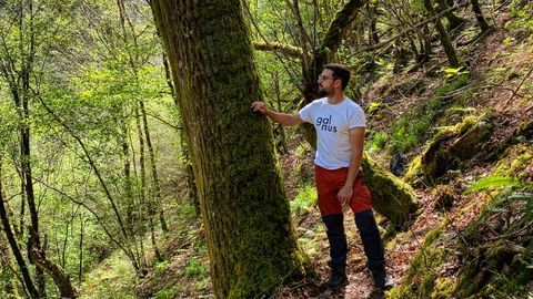 Alejandro �lvarez creo Galnus, su proyecto de recuperaci�n del bosque atl�ntico, en el 2019