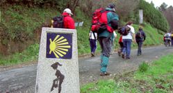 Peregrinos en el Camino Ingl�s, a su paso por O Couto. 