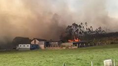IMAGEN DE LAS LLAMAS EN SANTA MARI�A