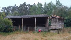 Lugar de la parroquia de Filgueira de Barranca (Oza-Cesuras) donde encontraron los animales muertos