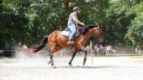 Un momento de la celebraci�n de la prueba ecuestre Campionato Galego de Andadura