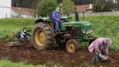Agricultores plantando patatas, equipados con guantes y mascarillas frente al coronavirus