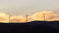 Parque e�lico, en imagen de archivo